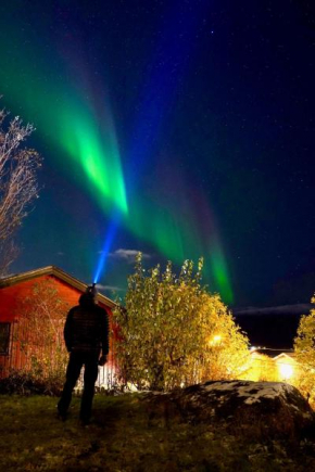 Fredelig leilighet med utsiktsplass til nordlys